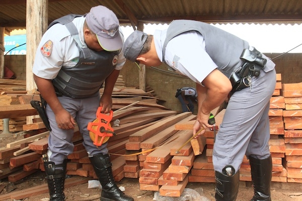 Imagem de arquivo mostra policiais fiscalizando madeireira durante operação